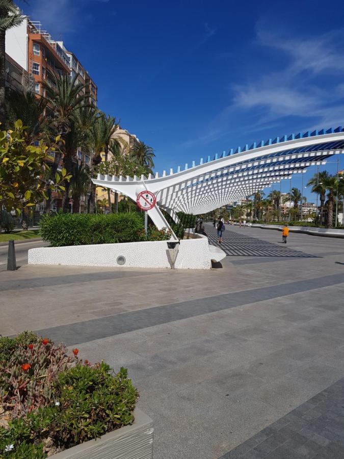 Apartament Carmen Torrevieja Exterior photo